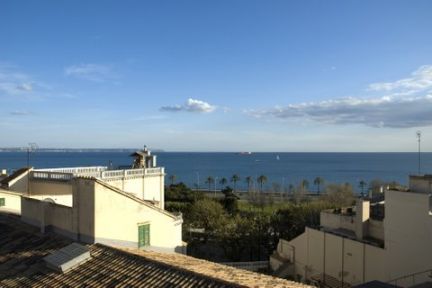 Palma